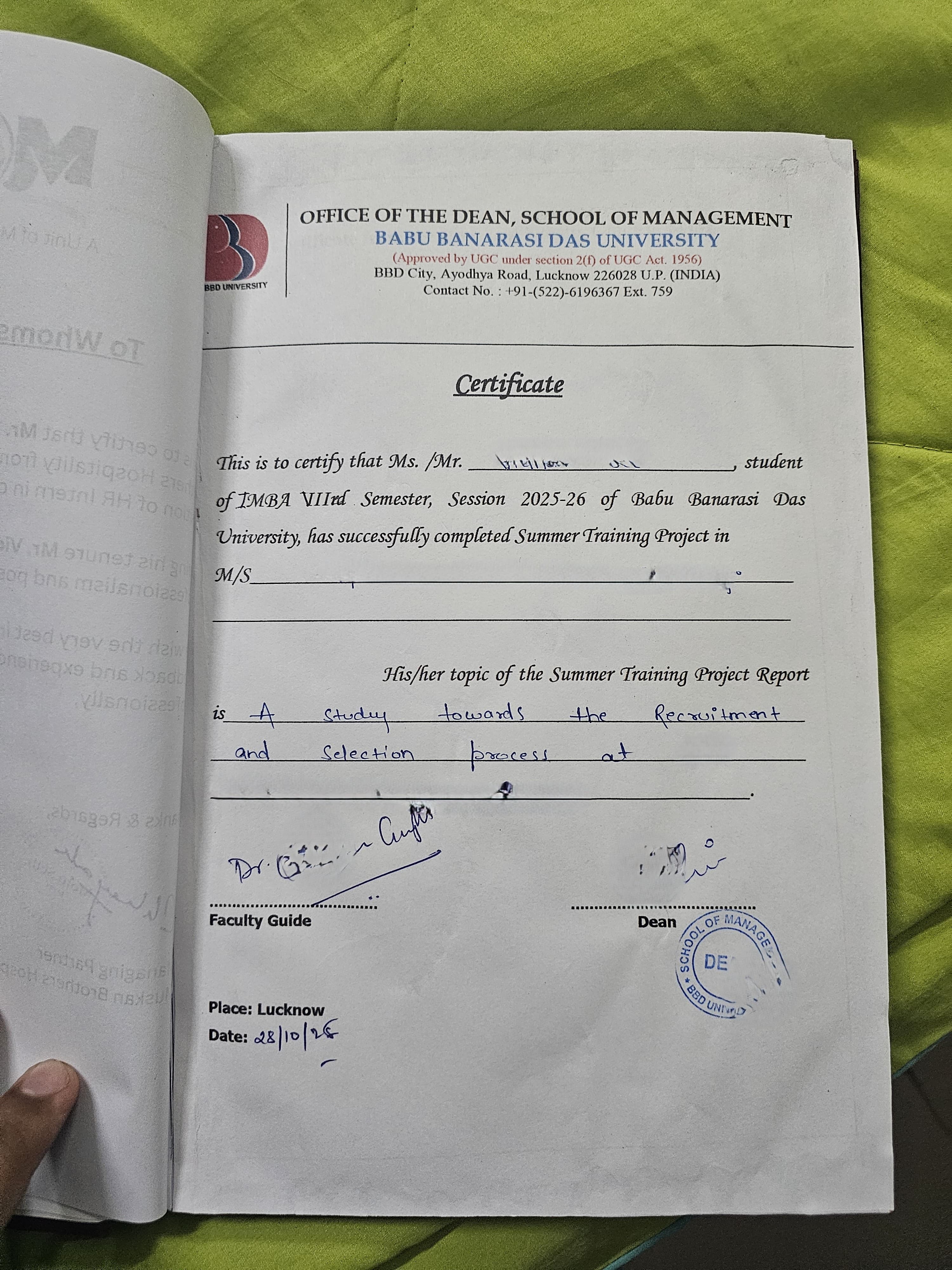 Project report example 6